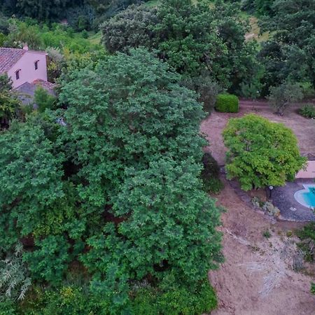 La Casa Nel Bosco Villa Lari ภายนอก รูปภาพ