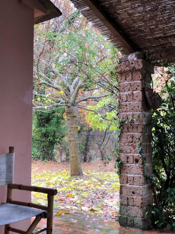 La Casa Nel Bosco Villa Lari ภายนอก รูปภาพ