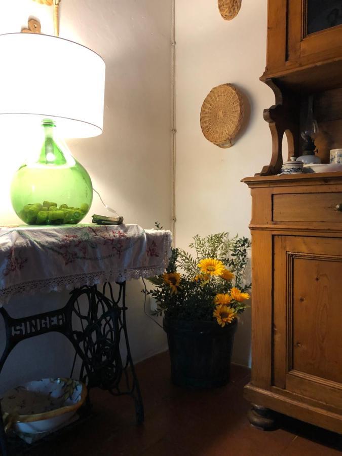 La Casa Nel Bosco Villa Lari ภายนอก รูปภาพ