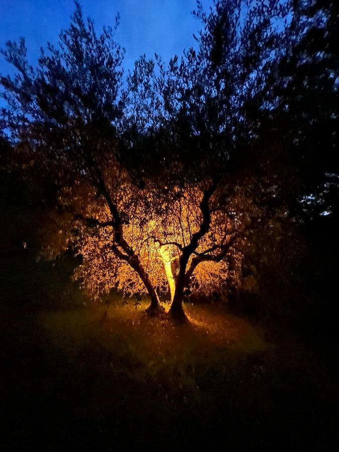 La Casa Nel Bosco Villa Lari ภายนอก รูปภาพ